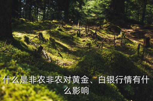 什么是非農(nóng)非農(nóng)對黃金、白銀行情有什么影響