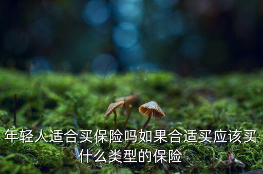 青年人必須買(mǎi)什么險(xiǎn),現(xiàn)在青少年該買(mǎi)什么保險(xiǎn)