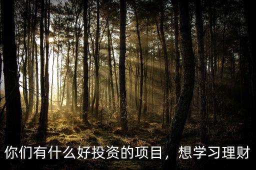 你們有什么好投資的項目，想學(xué)習(xí)理財
