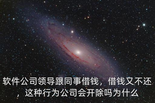 公司拒絕借錢制度怎么寫,軟件公司領(lǐng)導跟同事借錢