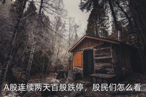 A股連續(xù)兩天百股跌停，股民們怎么看