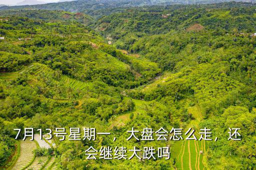 7月13號星期一，大盤會怎么走，還會繼續(xù)大跌嗎