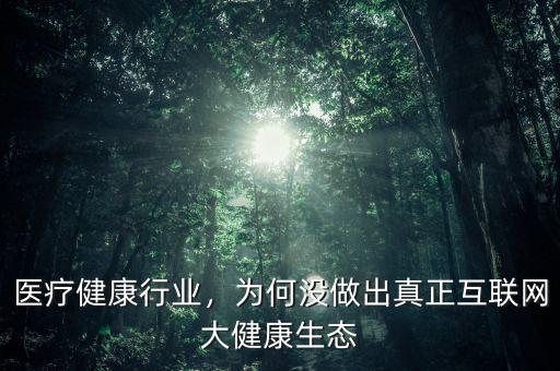 醫(yī)療健康行業(yè)，為何沒做出真正互聯(lián)網(wǎng)大健康生態(tài)
