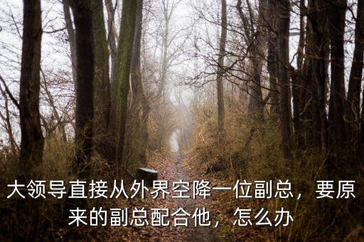 大領(lǐng)導(dǎo)直接從外界空降一位副總，要原來的副總配合他，怎么辦