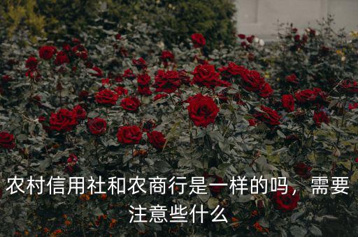 農村信用社和農商行是一樣的嗎，需要注意些什么