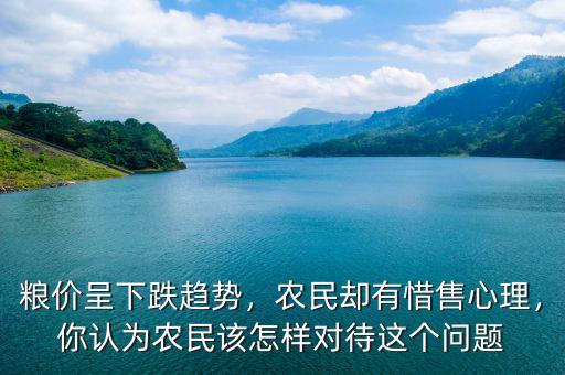糧價呈下跌趨勢，農民卻有惜售心理，你認為農民該怎樣對待這個問題