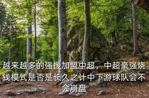 越來越多的強援加盟中超，中超豪強燒錢模式是否是長久之計中下游球隊會不會崩盤