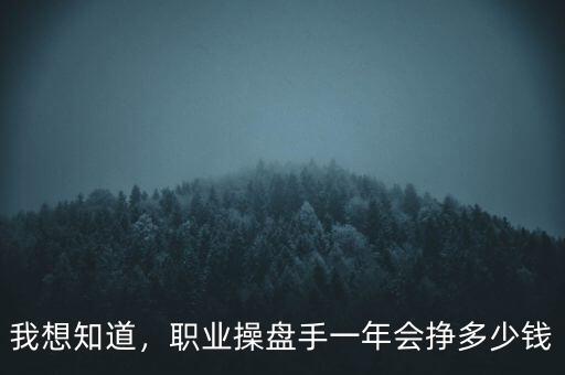 我想知道，職業(yè)操盤手一年會(huì)掙多少錢