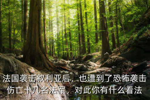 法國襲擊敘利亞后，也遭到了恐怖襲擊傷亡十幾名法軍，對此你有什么看法