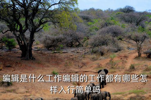 編輯是什么工作編輯的工作都有哪些怎樣入行簡(jiǎn)單嗎