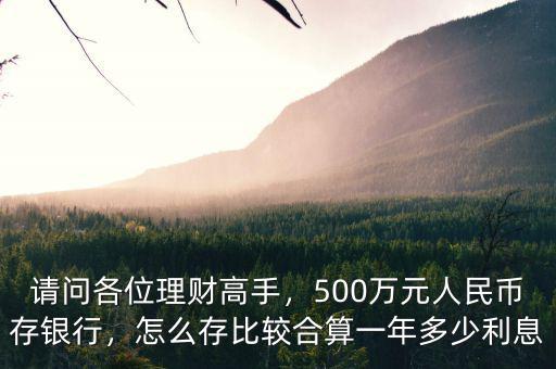 請(qǐng)問(wèn)各位理財(cái)高手，500萬(wàn)元人民幣存銀行，怎么存比較合算一年多少利息