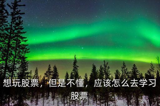 想玩股票，但是不懂，應(yīng)該怎么去學(xué)習(xí)股票