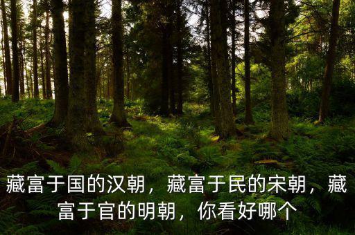 藏富于國的漢朝，藏富于民的宋朝，藏富于官的明朝，你看好哪個