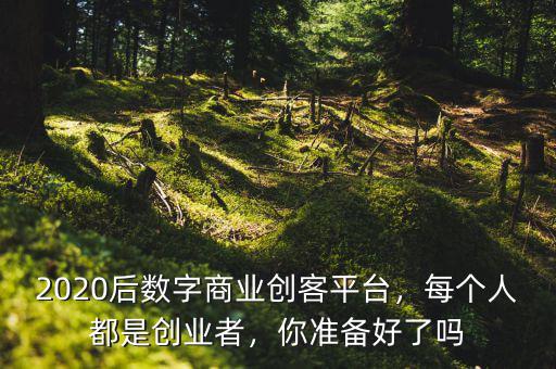 2020后數(shù)字商業(yè)創(chuàng)客平臺(tái)，每個(gè)人都是創(chuàng)業(yè)者，你準(zhǔn)備好了嗎