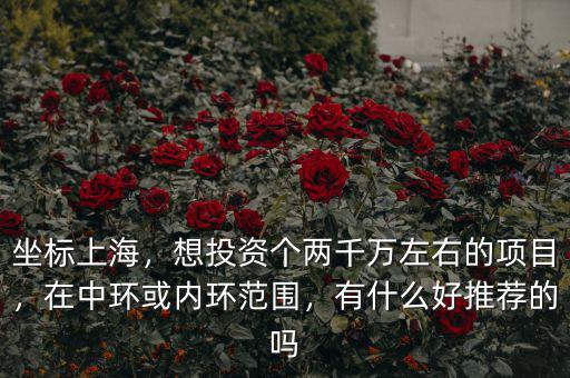 坐標(biāo)上海，想投資個兩千萬左右的項(xiàng)目，在中環(huán)或內(nèi)環(huán)范圍，有什么好推薦的嗎