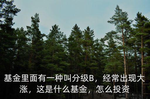 基金里面有一種叫分級B，經(jīng)常出現(xiàn)大漲，這是什么基金，怎么投資