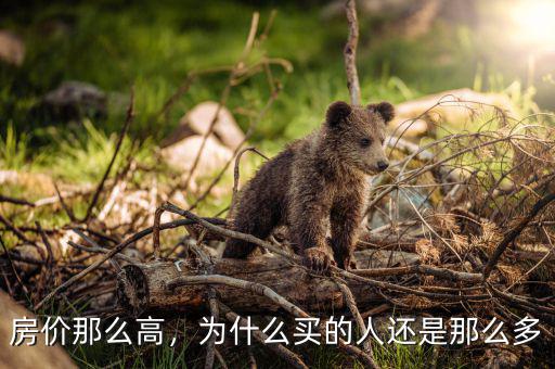 房?jī)r(jià)那么高，為什么買的人還是那么多