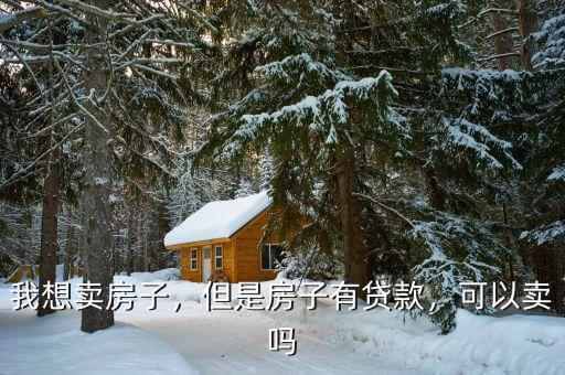 我想賣房子，但是房子有貸款，可以賣嗎