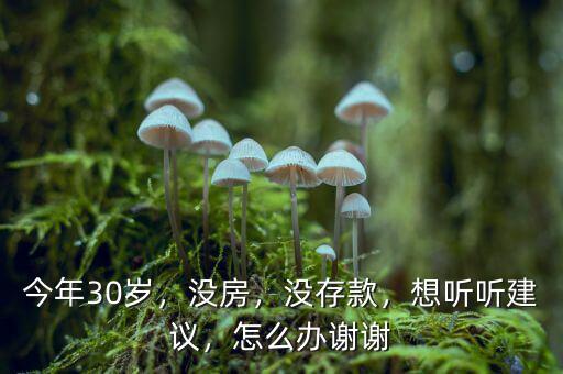 今年30歲，沒(méi)房，沒(méi)存款，想聽(tīng)聽(tīng)建議，怎么辦謝謝