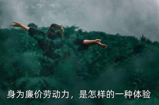 身為廉價(jià)勞動(dòng)力，是怎樣的一種體驗(yàn)