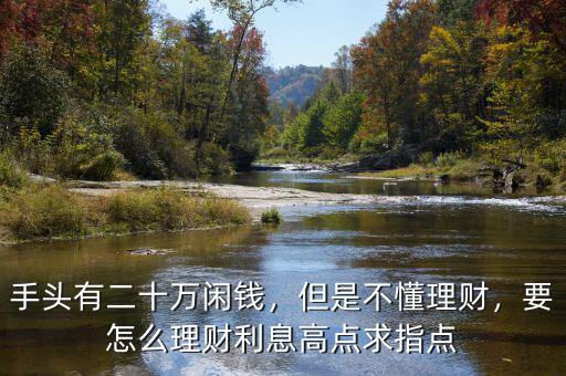 手頭有二十萬閑錢，但是不懂理財，要怎么理財利息高點求指點