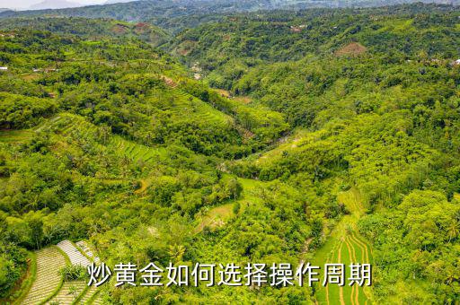 國(guó)際黃金怎么炒,炒黃金怎么炒