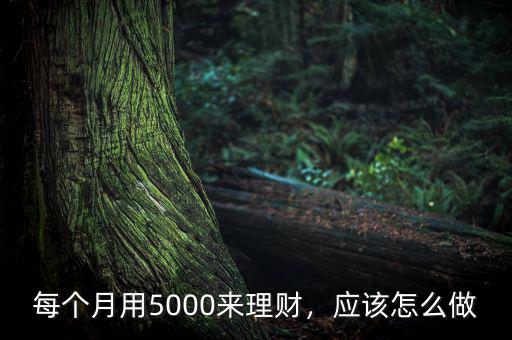 每個(gè)月用5000來理財(cái)，應(yīng)該怎么做