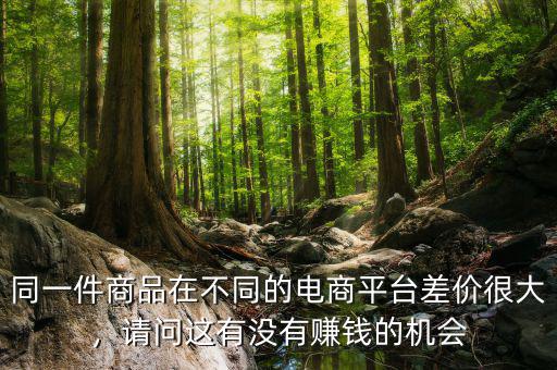 同一件商品在不同的電商平臺差價很大，請問這有沒有賺錢的機會