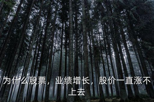 為什么股票，業(yè)績增長，股價一直漲不上去