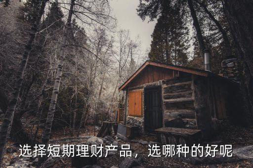 選擇短期理財產(chǎn)品，選哪種的好呢