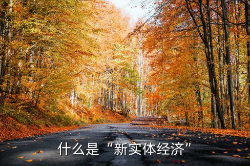 什么是“新實體經(jīng)濟”