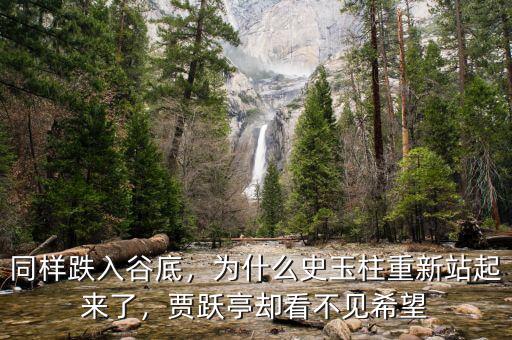 同樣跌入谷底，為什么史玉柱重新站起來了，賈躍亭卻看不見希望