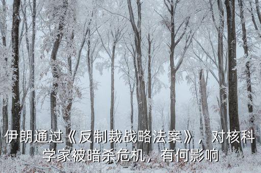 伊朗通過《反制裁戰(zhàn)略法案》，對核科學(xué)家被暗殺危機，有何影響