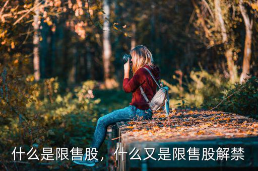 什么是限售股，什么又是限售股解禁