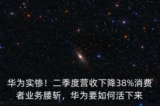 華為實(shí)慘！二季度營(yíng)收下降38%消費(fèi)者業(yè)務(wù)腰斬，華為要如何活下來(lái)