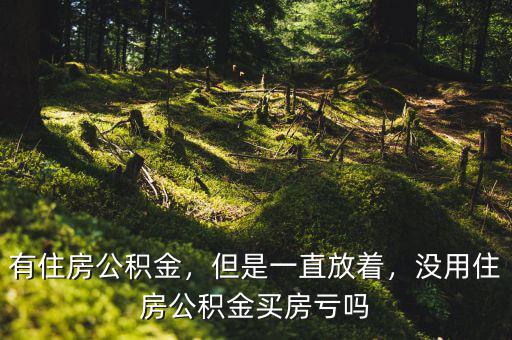 有住房公積金，但是一直放著，沒用住房公積金買房虧嗎