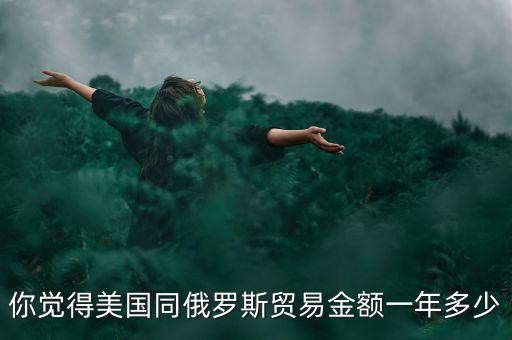 你覺(jué)得美國(guó)同俄羅斯貿(mào)易金額一年多少