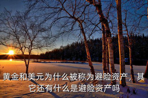黃金和美元為什么被稱為避險(xiǎn)資產(chǎn)，其它還有什么是避險(xiǎn)資產(chǎn)嗎