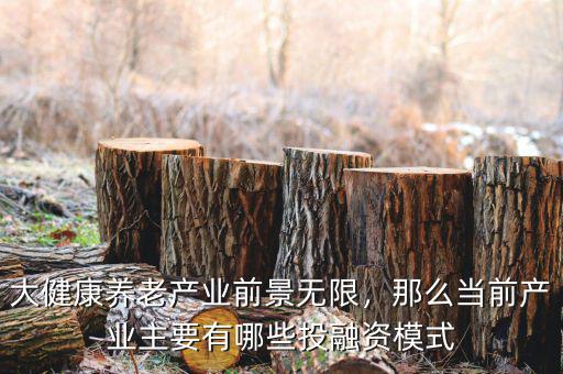 大健康養(yǎng)老產(chǎn)業(yè)前景無限，那么當(dāng)前產(chǎn)業(yè)主要有哪些投融資模式