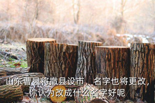 山東曹縣將撤縣設市，名字也將更改，你認為改成什么名字好呢