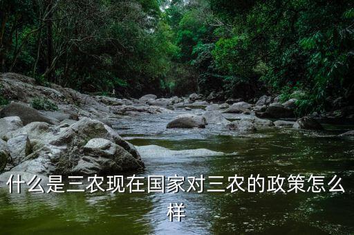 三農支出是什么,究竟什么是三農