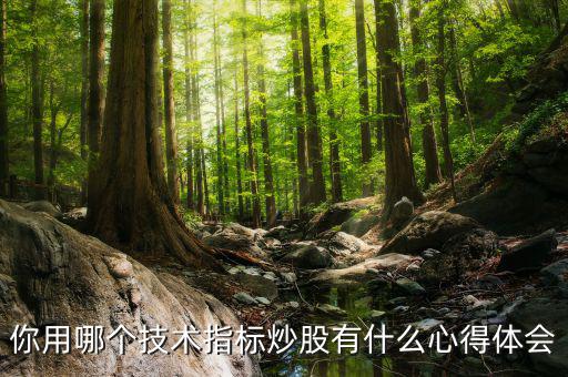 你用哪個(gè)技術(shù)指標(biāo)炒股有什么心得體會