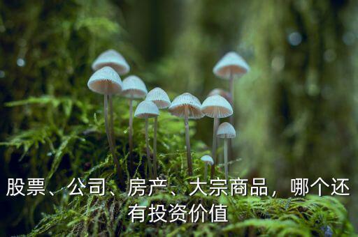 股票、公司、房產(chǎn)、大宗商品，哪個還有投資價值