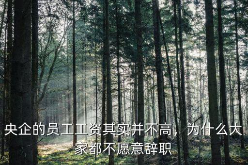 央企的員工工資其實并不高，為什么大家都不愿意辭職