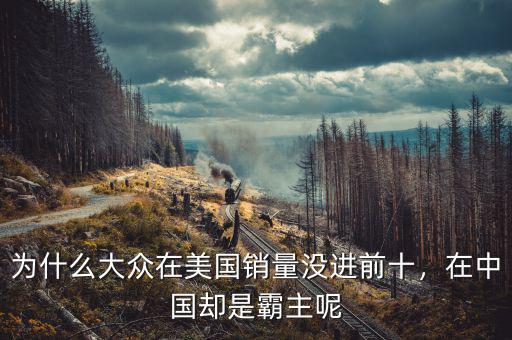 為什么大眾在美國銷量沒進前十，在中國卻是霸主呢
