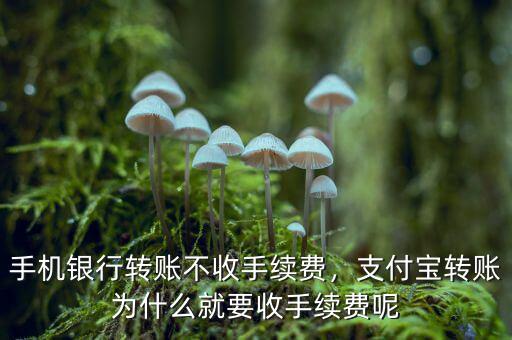 支付寶轉(zhuǎn)賬為什么收費(fèi),通過(guò)網(wǎng)銀轉(zhuǎn)錢(qián)到支付寶