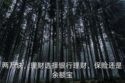兩萬塊，理財(cái)選擇銀行理財(cái)、保險(xiǎn)還是余額寶