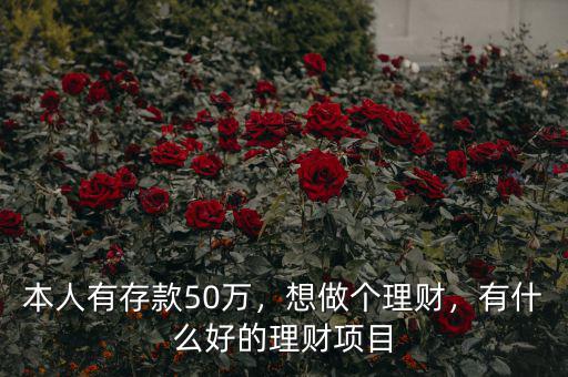 本人有存款50萬，想做個理財，有什么好的理財項目