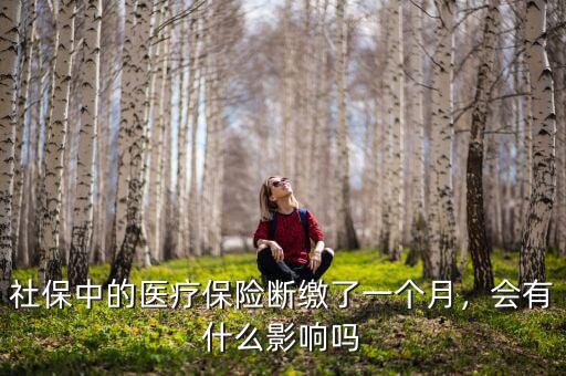 社保中的醫(yī)療保險(xiǎn)斷繳了一個月，會有什么影響嗎