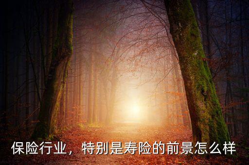 保險(xiǎn)行業(yè)，特別是壽險(xiǎn)的前景怎么樣
